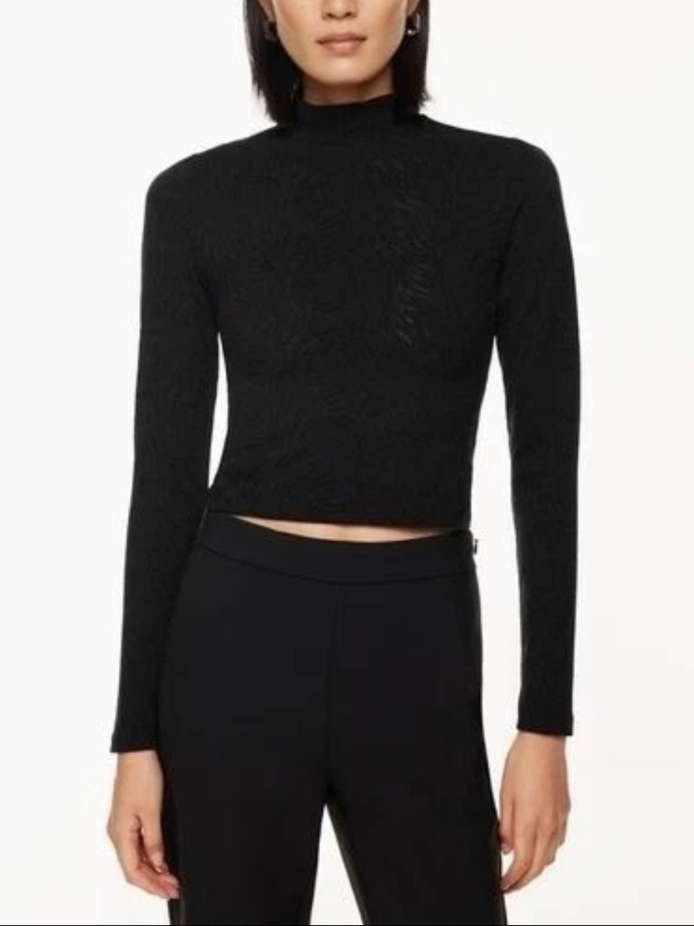 Aritzia Babaton Shapelace Mockneck Longsleeve